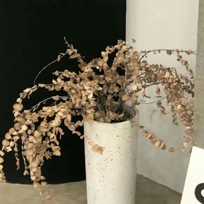 Furry插画细节提升干货FurryQQ群